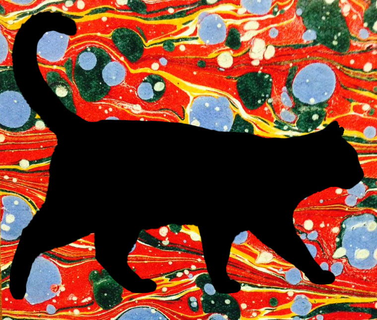 Black cat on marbled background